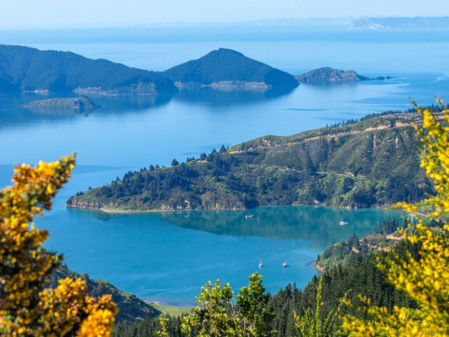 Queen Charlotte Track, Marlborough Sounds